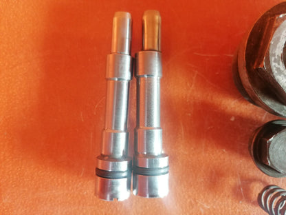 BMW R75 R80 R90 R100 Gabel Verschlussschrauben Exzenderbolzen 32084